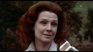 Anne Meacham's Instagram, Twitter & Facebook