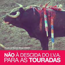 Açores Melhores...Sem Maltratos Animais: 2018