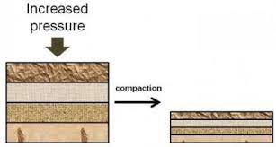We did not find results for: Sedimentary Rocks And Fossil Fuels Texas Gateway