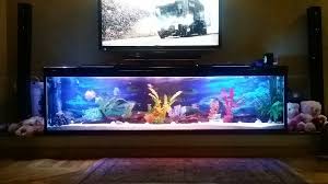 Pin By Den On Fish Tank Fish Tank Reptile Terrarium Aquarium