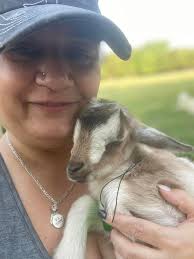 Spring is here! We have babies everywhere!