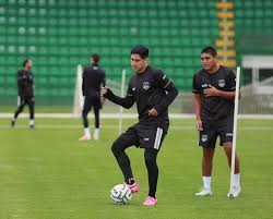 Alacranes se juega terreno rumbo a la liguilla ante Venados