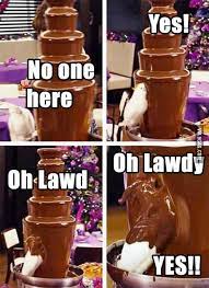 More bird chocolate fountain memes… this item will be deleted. When A Bird Finds A Chocolate Fountain 9gag
