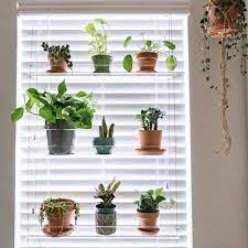 Maybe you would like to learn more about one of these? Window Plant Shelf Clear Etsy Apartment Therapy