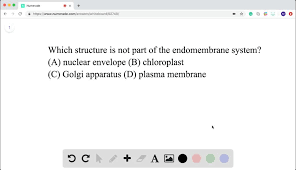 Endomembrane System - Definition And Examples - Biology Online Dictionary