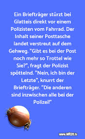 Fotos, bilder, tiere, tierfotos, tierbilder, eis, glatteis, enten, stockente, facebook, lustige fotos, lustige bilder, winter. Ein Brieftrager Sturzt Bei Glatteis Direkt Vor Lustige Witze Und Spruche Www Witze Tv