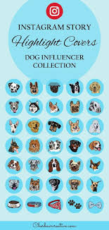 Instagram Story Highlight Icon Covers Blue Dog Breed Collection In 2020 Blue Dog Breed Story Highlights Instagram Story