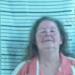 Renee Bragg — Stephens County Jail Bookings