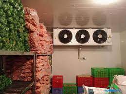 Kho lạnh bảo quản là gì? #9 ưu điểm vượt trội của kho bảo quản