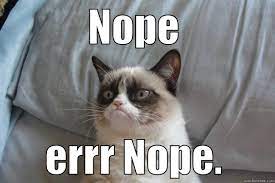 Nope Cat Quickmeme