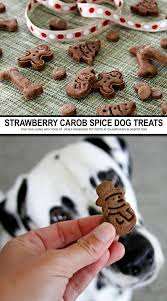 Recipe Strawberry Carob Christmas Spice Dog Treats Dog Biscuit Recipes Vegan Dog Treats Dog Treat Recipes