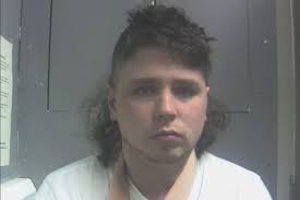 Police shot drunk man threatening them with a crossbow in Llanelli