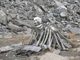 Image result for Skeleton Lake, India