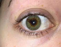 I Have A Brown Line Through The Green Of My Eye Also Known As Sectoral Heterochromia Pretty Eyes Sectoral Heterochromia Hazel Eyes