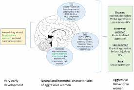 Aggressive acts against a neighboring country. Frontiers Aggression In Women Behavior Brain And Hormones Behavioral Neuroscience