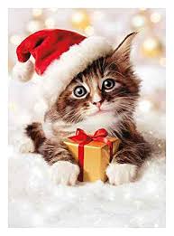 Image result for merry christmas pictures with cats
