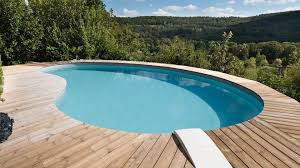 Abri piscine d'occasion pas cher; Piscine Haricot Celine Le Modele Arrondi Elegant Piscines Waterair