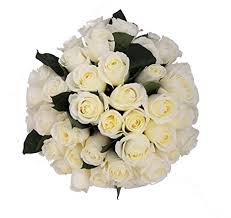 Check spelling or type a new query. Amazon Com 50 Farm Fresh White Roses Bouquet By Justfreshroses Long Stem Fresh White Rose Delivery Farm Fresh Flowers Grocery Gourmet Food