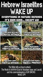 Pin On Israelites