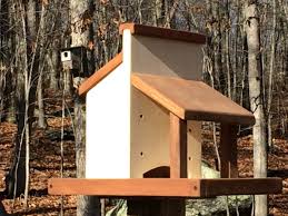 I made it as a. How To Build A Fly Through Tray Bird Feeder Diy County Store Platform Bird Feeder Plans Feltmagnet