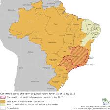 Yellow Fever Distribution And Areas Of Risk In Brazil As Of