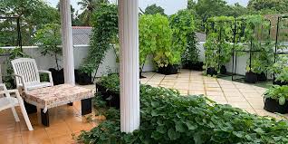 Here is a small home garden in a kandy suburb of sri lanka which spreads at about 40 perches of land. Edible Landscaping Sky Tech