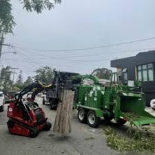 Order online tickets tickets see availability directions. Best Tree Removal Near Me July 2021 Find Nearby Tree Removal Reviews Yelp