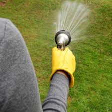 Done right, it's a straightforward process that gets results. How To Overseed A Lawn Greenview