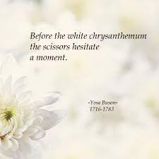 The White Chrysanthemum Haiku Poetry Spiritual Quotes Buddhist Wisdom