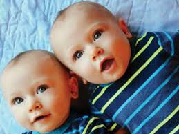 Photo of Wernersville twins wins national contest