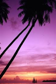 Sunset palm tree lamp, handel lamp co. Sunset Palm Tree Silhouette 640x1136 Iphone 5 5s 5c Se Wallpaper Background Picture Image