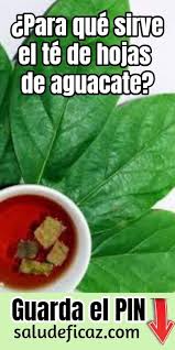 Te De Hoja De Aguacate Para Que Sirve Hoja De Aguacate Aguacate Beneficios Hojas De Guayaba