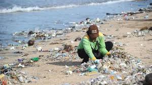 We did not find results for: Memulai Kebiasaan Memilah Sampah Organik Dan Anorganik