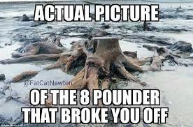 Funny Fishing Memes Part 2 Respect The Fish Funny Fishing Memes Fishing Memes Fishing Jokes