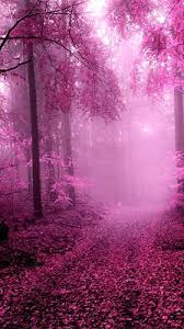 Pink Forest Live Wallpaper For Android Pink Forest Free Download For Tablet And Phone Madara uchiha susanoo live wallpaper. pink forest live wallpaper for android