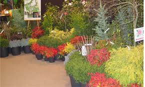 7 tips to finding a great roofing contractor in greensboro nc. Wind Chime Nursery Premier Shrub And Tree Grower In The Piedmont Triad Winston Salem Greensboro And High Point