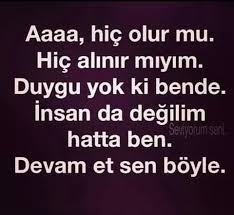 Hic Alinmadim Alayci Sozler Guzel Soz Ilham Verici Alintilar