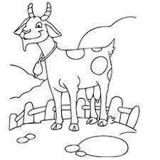 764 x 1024 file type: Top 25 Free Printable Goat Coloring Pages Online