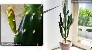 .cactus cup 2019 360, 2018 cactus cup night short track vlog 2 159, mountains edge cactus cup bike race in las vegas, 10 funniest moments in gymnastics, bhhh 2 mountain bike marathon up hill 2019 part 1 lastclimbing, 15 giant powerful people youd never want to mess with, internazionali ditalia. There Is A Whole World Of Convenience And Multi Tasking That