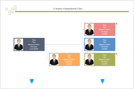 doc 598454 horizontal organization chart template free