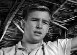 Television's New Frontier: The 1960s: September 2019