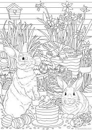 Realistic bunny coloring pages for adults. Pin On Animal