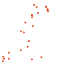 Image result for Poecilostachys oplismenoides