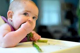 Fonti di vitamina b12 sono rappresentate da cibi fortificati, compresi alcuni cereali per la colazione, bevande a base di soia. Bimba Di 2 Anni In Ospedale Dieta Vegana Per I Piu Piccoli Si O No Greenme