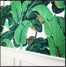 Jul 19, 2021 · this marks the first time martinique has been installed at the beverly hills hotel since the 1940s, when this famed wallpaper was enlisted to decorate the hotel's fountain coffee room and hallways. Free Hill Wallpaper Hill Wallpaper Download Wallpaperuse 1