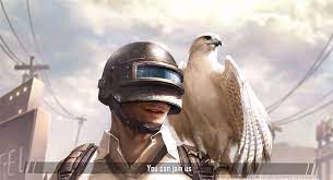 Pubg Falcon Funny Moments Riding Helmets Memes