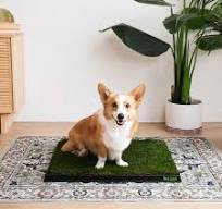 Washable Pet Mat