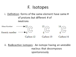 Why Study Chemistry In Biology Banana Cell With Starch Granules Ppt Download