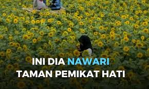 Bunga matahari sangat cantik, kembang di waktu pagi, daunnya hijau bunganya kuning, memikat bunga matahari yang cantik. Ini Dia Nawari Taman Pemikat Hati