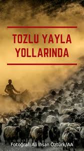 Bitlis In Tatvan Ilcesine Bagli Kiyiduzu Koyunde Yaz Aylarinda Hayvanlarini Otlatmak Icin Yuksek Kesimlere Cikan Yaylacilar Her Movie Posters Poster Instagram